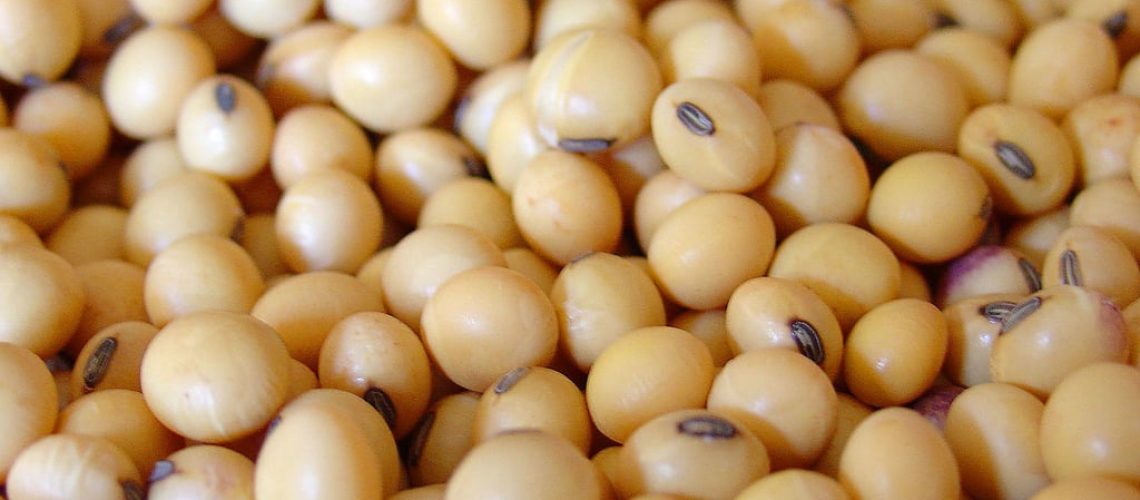 7118482319_aa6b2b7002_b